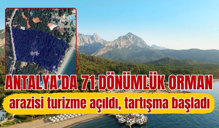 Antalya’da 71 dönümlük orman arazisi turizme açıldı, tartışma başladı