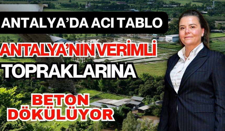 Antalya’da acı tablo! Antalya’nın verimli topraklarına beton dökülüyor