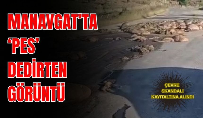 Manavgat’ta ‘pes’ dedirten görüntü… Çevre skandalı kayıt altına alındı