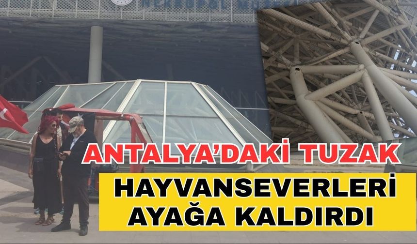 Antalya’daki hayvan tuzağı hayvanseverleri ayağa kaldırdı