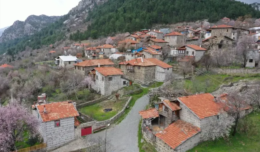 Antalya’nın Akseki İlçesi’ndeki terapi taşının gerçeği ortaya çıktı