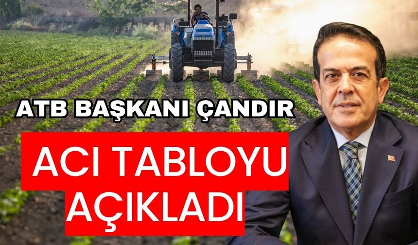 ATB Başkanı Çandır acı tabloyu açıkladı! Gıda fiyatları uçarken üretici refahı düştü