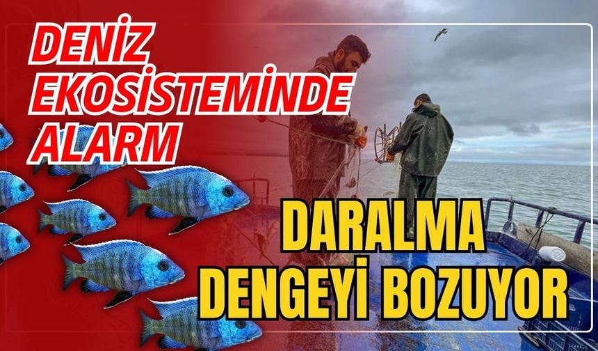 Deniz ekosisteminde alarm! Daralma dengeyi bozuyor