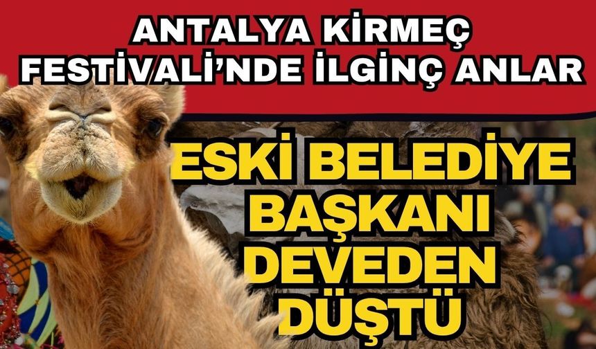 Antalya Kirmeç Festivali’nde ilginç anlar! Belediye başkanı deveden düştü