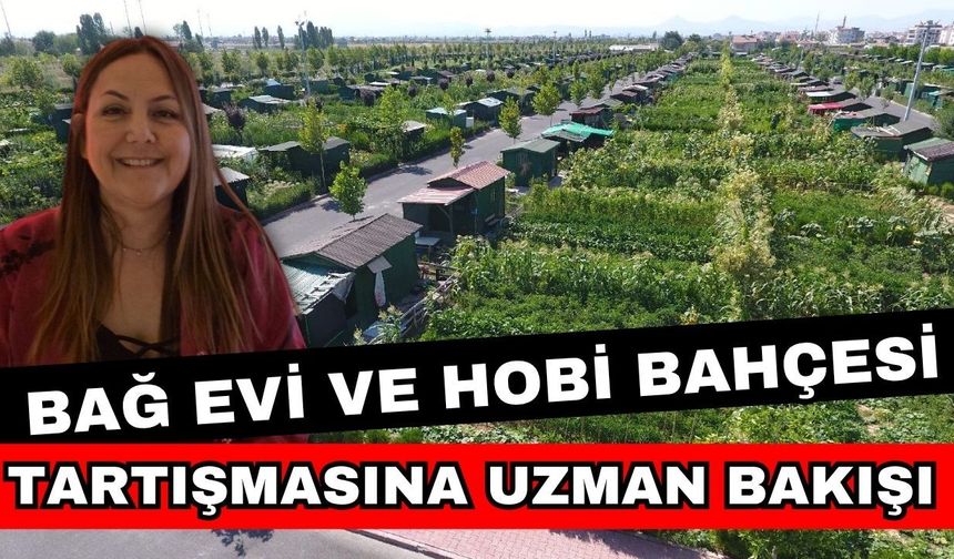 Hobi ve bağ evlerinin son durumu ne? Bağ evi ve hobi bahçesi tartışmasına uzman bakışı