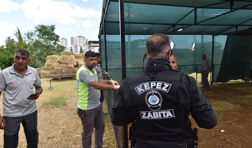 Kepez Belediyesi bu davranışlara izin vermeyecek