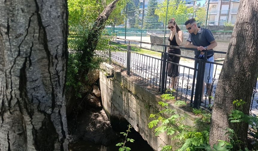 Manavgat Irmağı'nda endişelendiren görüntü
