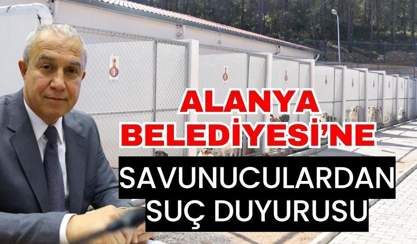 Alanya Belediyesi’ne hayvan hakları savunucularından suç duyurusu