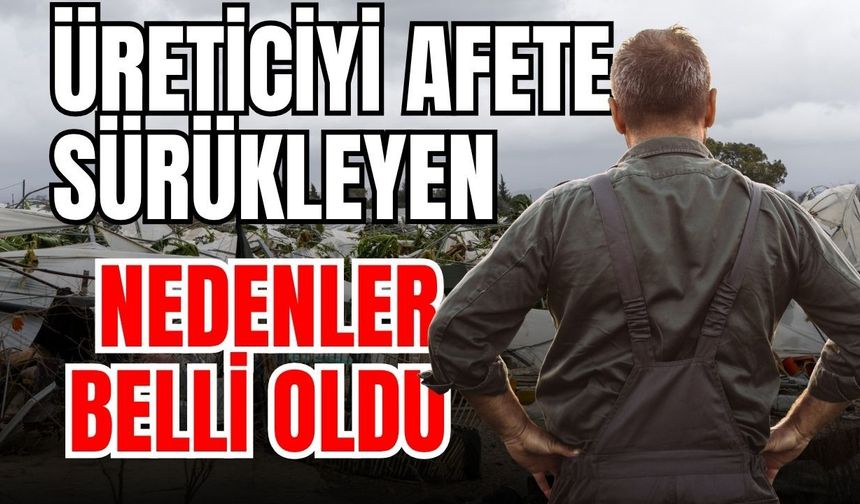 Üreticiyi afete sürükleyen nedenler belli oldu