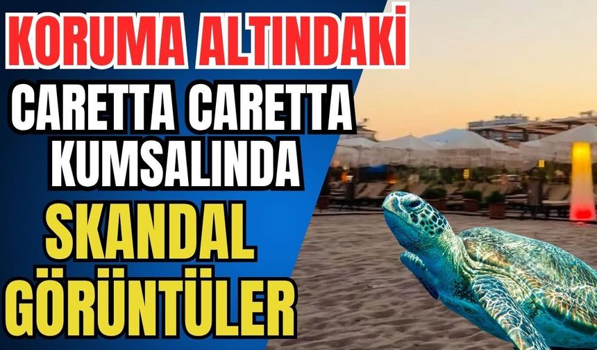 Koruma altındaki Caretta Caretta kumsalında skandal görüntüler