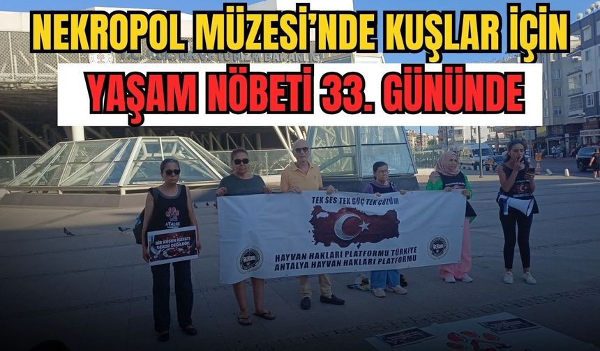 Nekropol Müzesi’nde kuşlar için yaşam nöbeti 33. gününde