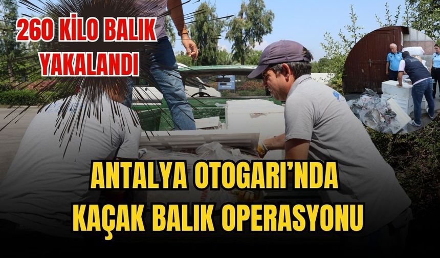 Antalya Otogarı’nda kaçak balık operasyonu