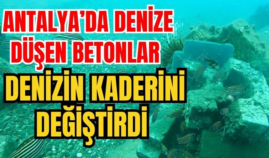 Antalya’da denize düşen betonlar denizin kaderini değiştirdi