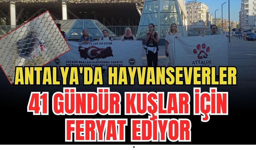Antalya'da hayvanseverler 41 gündür kuşlar için feryat ediyor
