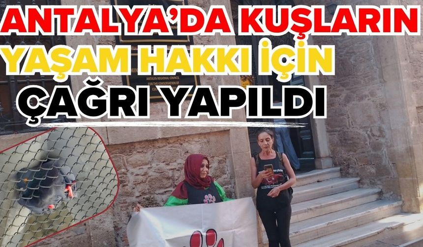 Antalya'da kuşların yaşam hakkı için çağrı yapıldı