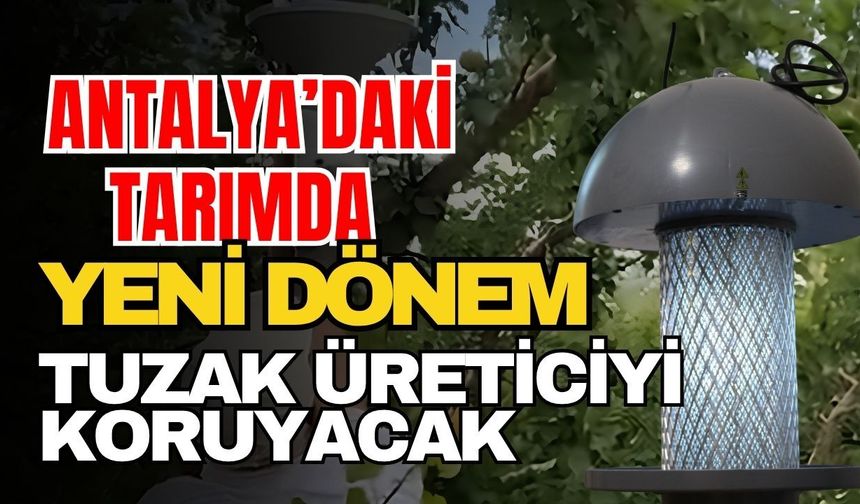 Antalya’daki tarımda yeni dönem! Tuzak üreticiyi koruyacak