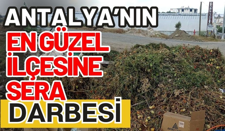 Antalya’nın en güzel ilçesine sera darbesi
