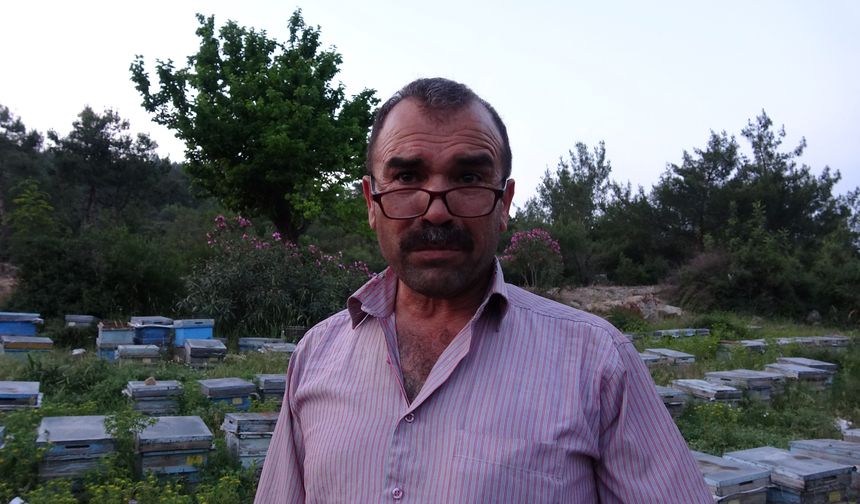 Keven ve kekik balı için yayla yolculuğu başladı