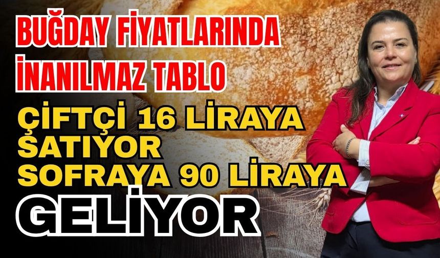 Buğday fiyatlarında inanılmaz tablo! Çiftçi 16 liraya satıyor, sofraya 90 liraya geliyor