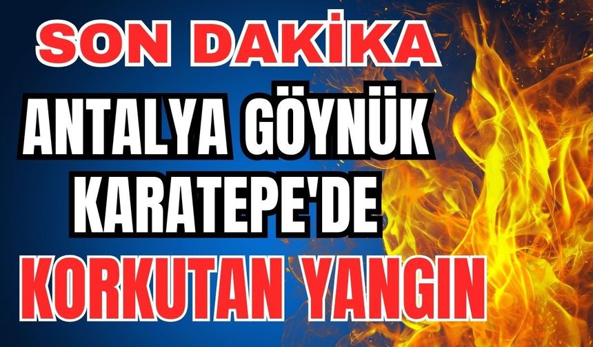 Son dakika... Antalya Göynük Karatepe'de korkutan yangın