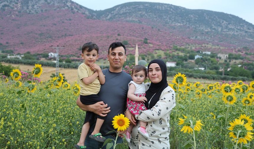 Kozan’da dağlar pembeye, ova günebakanlarla sarıya büründü