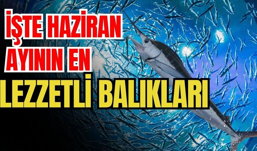İşte haziran ayının en lezzetli balıkları