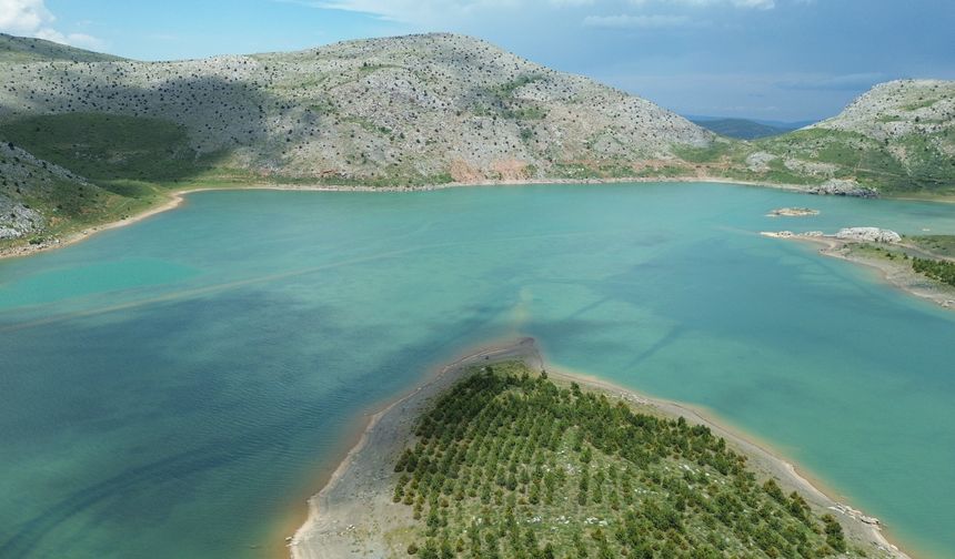 Kuruyan göl yağışlarla yeniden canlandı