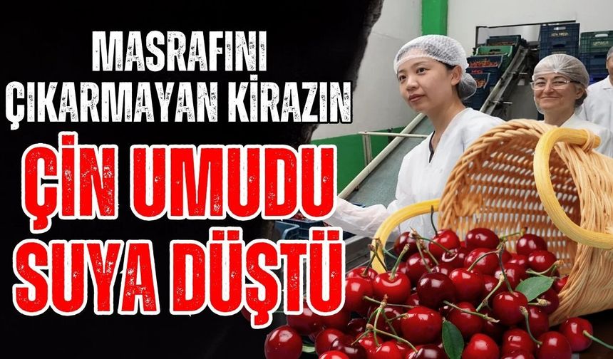 Masrafını çıkarmayan kirazın Çin umudu suya düştü