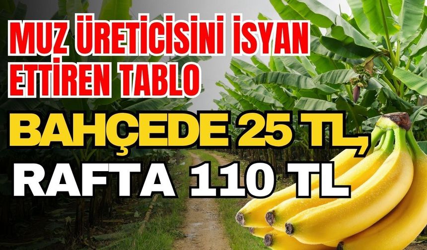 Muz üreticisini isyan ettiren tablo: Bahçede 25 TL, rafta 110 TL