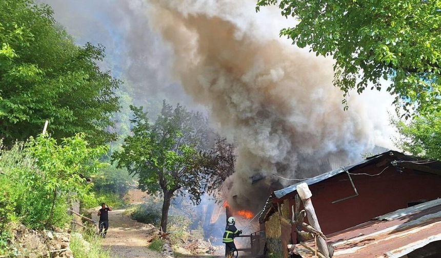 Yayla evindeki yangın ormana sıçradı