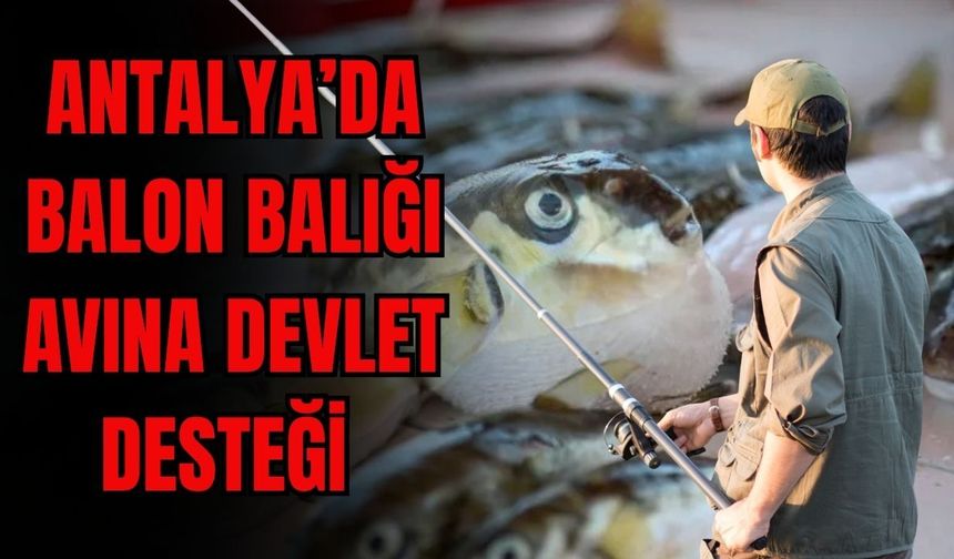 Antalya’da Balon Balığı avına devlet desteği