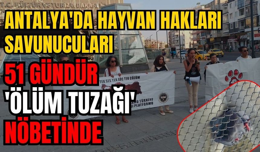 Antalya'da hayvan hakları savunucuları 51 gündür 'Ölüm tuzağı' nöbetinde