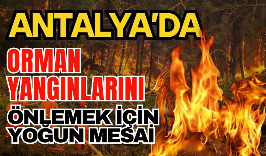 Antalya’da orman yangınlarını önlemek için yoğun mesai
