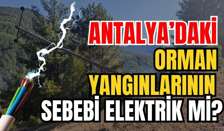 Antalya’daki orman yangınlarının sebebi elektrik mi?