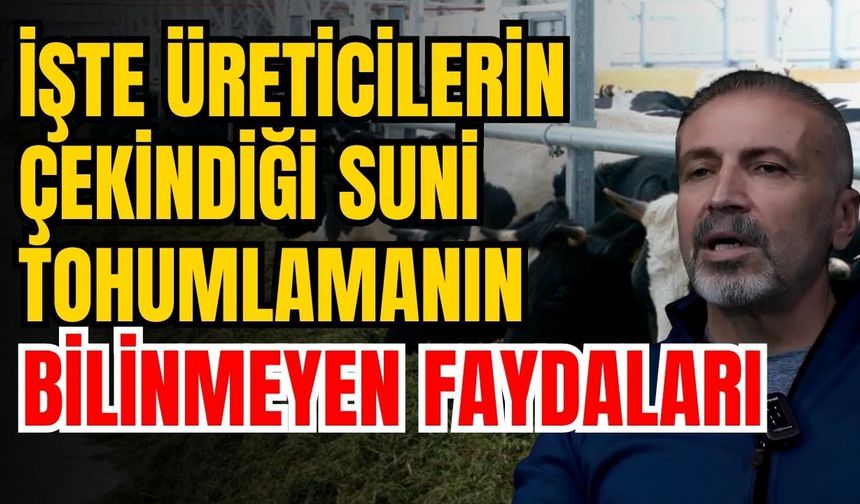 İşte üreticilerin çekindiği suni tohumlamanın bilinmeyen faydaları