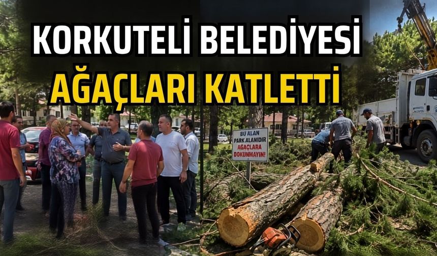 Korkuteli Belediyesi ağaçları katletti