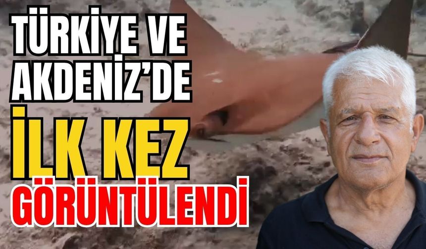 Türkiye ve Akdeniz’de ilk kez görüntülendi