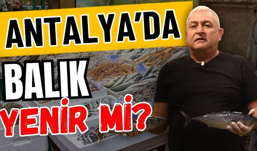Ağustosta Antalya’da balık yenir mi? Uzman isim 2 balık türüne dikkat çekti