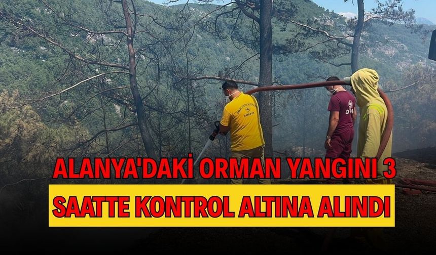 Alanya'daki orman yangını 3 saatte kontrol altına alındı