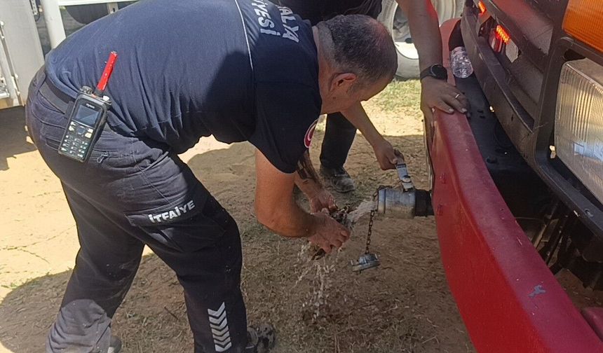 Alevlerden kurtulmak isteyen toprağa gömülen kaplumbağa kurtarıldı