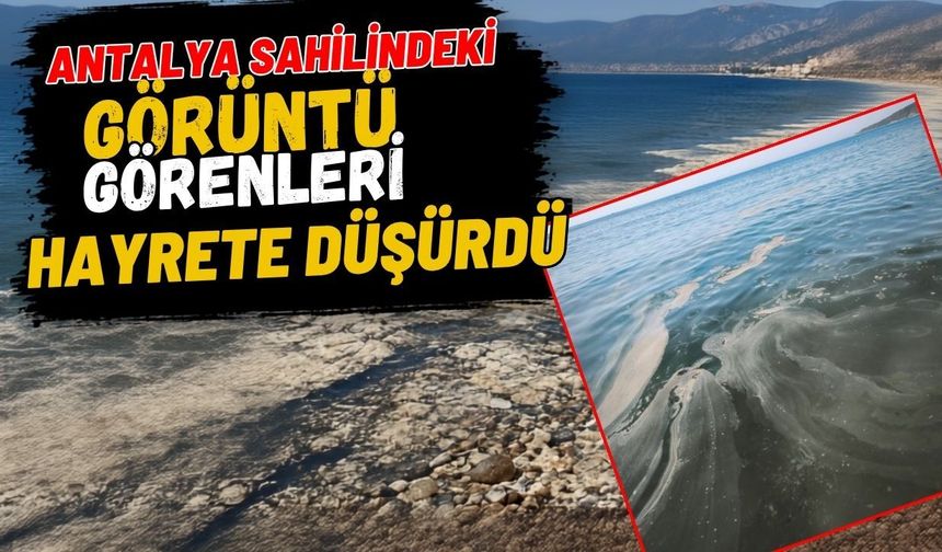 Antalya sahilindeki görüntü görenleri hayrete düşürdü