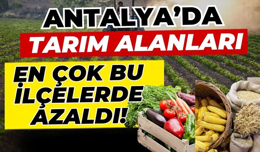 Antalya’da tarım alanları en çok bu ilçelerde azaldı!