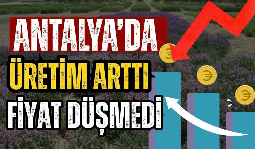 Antalya’da üretim arttı fiyat düşmedi