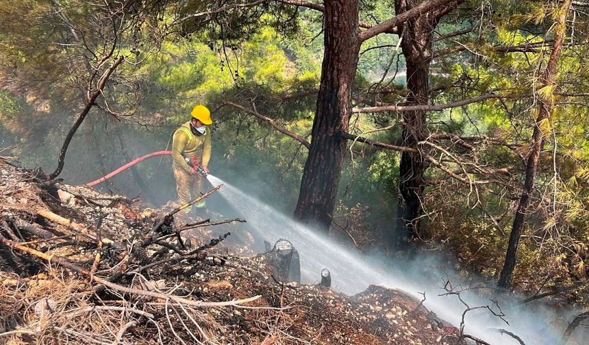 Antalya’da yürekler ağza geldi korkulan olmadı