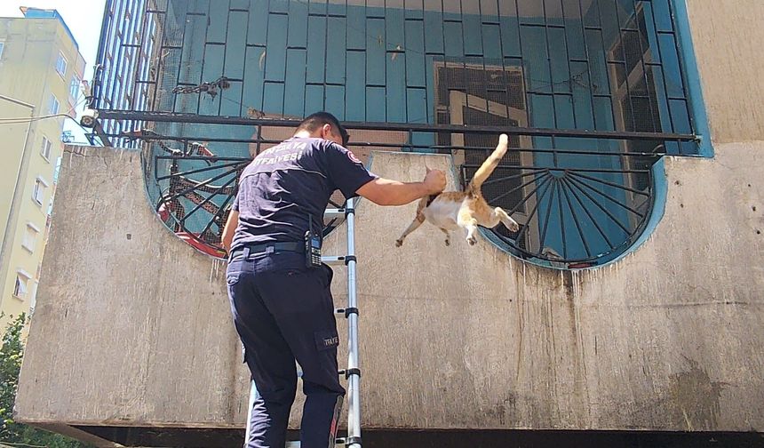 Antalya’daki yangında hamile kedinin kahramanı itfaiye oldu