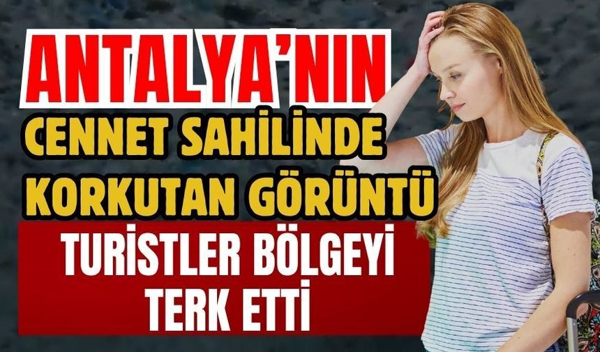 Antalya’nın cennet sahilinde korkutan görüntü! Turistler bölgeyi terk etti