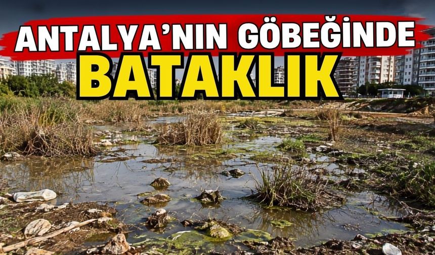 Antalya’nın göbeğinde bataklık