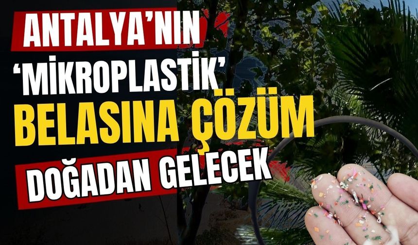 Antalya’nın ‘Mikroplastik’ belasına çözüm doğadan gelecek