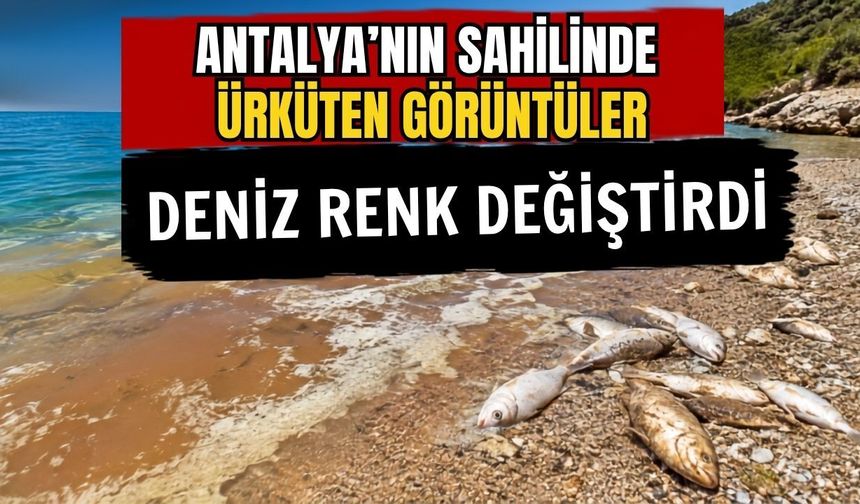 Antalya’nın sahilinde ürküten görüntüler! Deniz renk değiştirdi