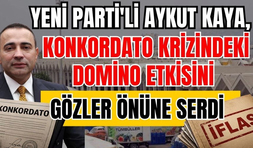 Yeni Parti'li Aykut Kaya, konkordato krizindeki domino etkisini gözler önüne serdi